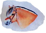 Fjord Pins