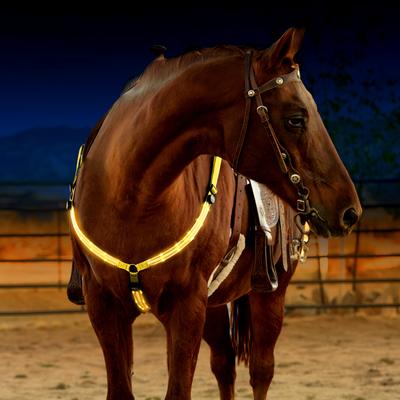 Lighted Breast Collars