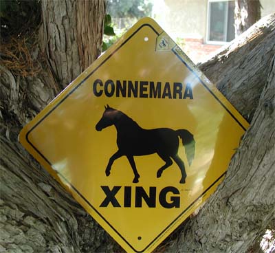 Connamara
