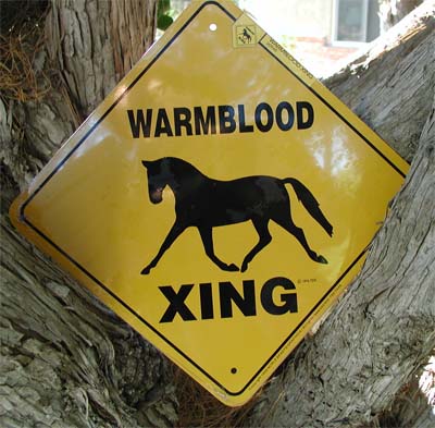 Warmblood